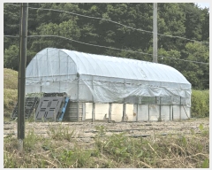  2025Ÿ��10954  ����