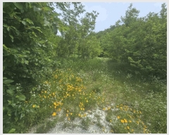  2025Ÿ��10961 ��� ���̽� ������ ���긮 782-1      ����(��1)���