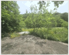  2025Ÿ��10961 ��� ���̽� ������ ���긮 782-1      ����(��1)���