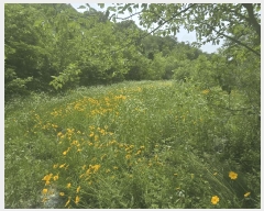  2025Ÿ��10961 ��� ���̽� ������ ���긮 782-1      ����(��1)���