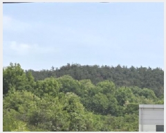  2025Ÿ��10961 ��� ���̽� ������ ���긮 782-1      ����(��1)���