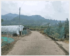  2025Ÿ��11008  ����