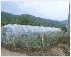  2025Ÿ��11008  ����