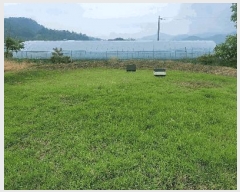  2025Ÿ��11008  ����