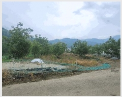  2025Ÿ��11008  ����