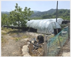  2025Ÿ��11008  ����