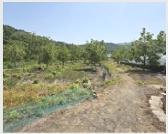  2025Ÿ��11008  ����