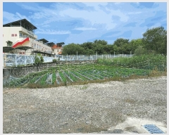  2025Ÿ��11112  ����