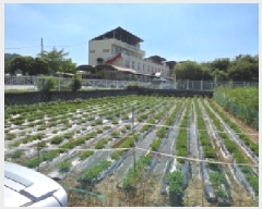  2025Ÿ��11112  ����