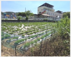  2025Ÿ��11112  ����