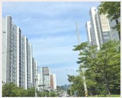  2025Ÿ��11142  ����Ʈ���