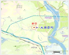  2025Ÿ��11181  �������