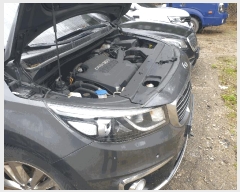  2025Ÿ��11281  �������