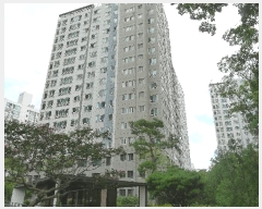  2025Ÿ��11316 ��� ���̽� ������ 868 �����Ե�ĳ�������ũ 103�� 14��1405ȣ    ����Ʈ���