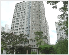  2025Ÿ��11316 ��� ���̽� ������ 868 �����Ե�ĳ�������ũ 103�� 14��1405ȣ    ����Ʈ���