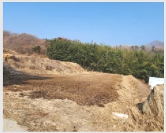  2025Ÿ��67 ��� ��õ�� ������ ������ 1289      ����(��)���