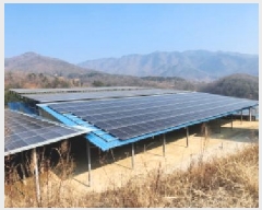  2025Ÿ��67 ��� ��õ�� ������ ������ 1289      ����(��)���