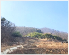  2025Ÿ��67 ��� ��õ�� ������ ������ 1289      ����(��)���