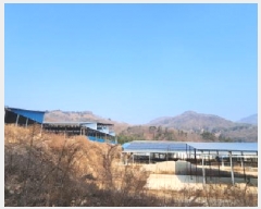  2025Ÿ��67 ��� ��õ�� ������ ������ 1289      ����(��)���