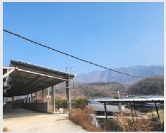  2025Ÿ��67 ��� ��õ�� ������ ������ 1289      ����(��)���