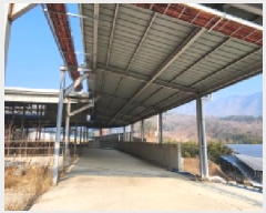  2025Ÿ��67 ��� ��õ�� ������ ������ 1289      ����(��)���