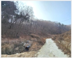  2025Ÿ��67 ��� ��õ�� ������ ������ 1289      ����(��)���