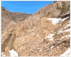  2025Ÿ264  õ ׸ ߸ 90      (Ӿ)