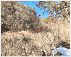  2025Ÿ264  õ ׸ ߸ 90      (Ӿ)