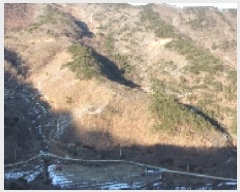  2025Ÿ264  õ ׸ ߸ 90      (Ӿ)