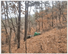  2025Ÿ��279  �����