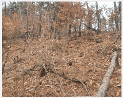  2025Ÿ��279  �����