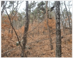  2025Ÿ��279  �����