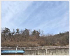  2025Ÿ��279  �����