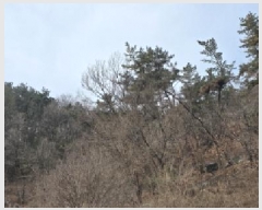  2025Ÿ��279  �����