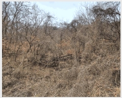  2025Ÿ��279  �����