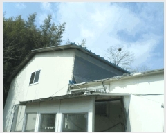  2025Ÿ284  õ  λ 536-1      ,â