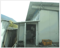  2025Ÿ284  õ  λ 536-1      ,â