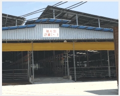  2025Ÿ��309 ��� ���̽� ������ ������ 1076      ���(�󰡽ü�)���