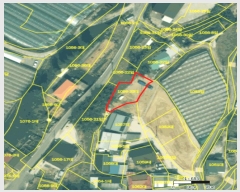  2025Ÿ��325 ��� ��õ�� ���׸� ������ 1056-33      ����(����)���