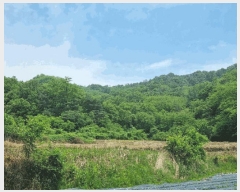  2025Ÿ��350  �Ӿ߰��