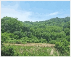  2025Ÿ��350  �Ӿ߰��