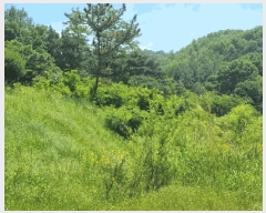  2025Ÿ��350  �Ӿ߰��