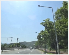  2025Ÿ��350  �Ӿ߰��