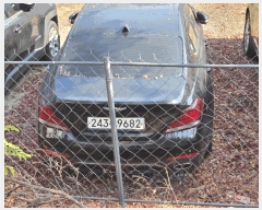  2025Ÿ��520 ���̽� ������ 143 (�ΰ, �����ڵ������)      �������