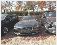  2025Ÿ��520 ���̽� ������ 143 (�ΰ, �����ڵ������)      �������