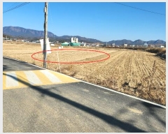  2025Ÿ10095  ̽   369-1      ()