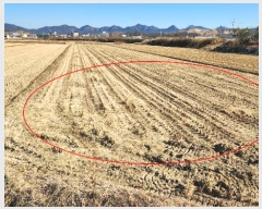  2025Ÿ10095  ̽   369-1      ()