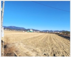  2025Ÿ10095  ̽   369-1      ()