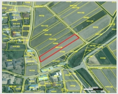  2025Ÿ10095  ̽   369-1      ()