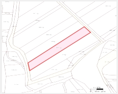  2025Ÿ10095  ̽   369-1      ()